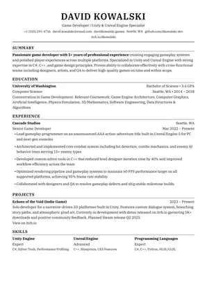 Persian resume template preview